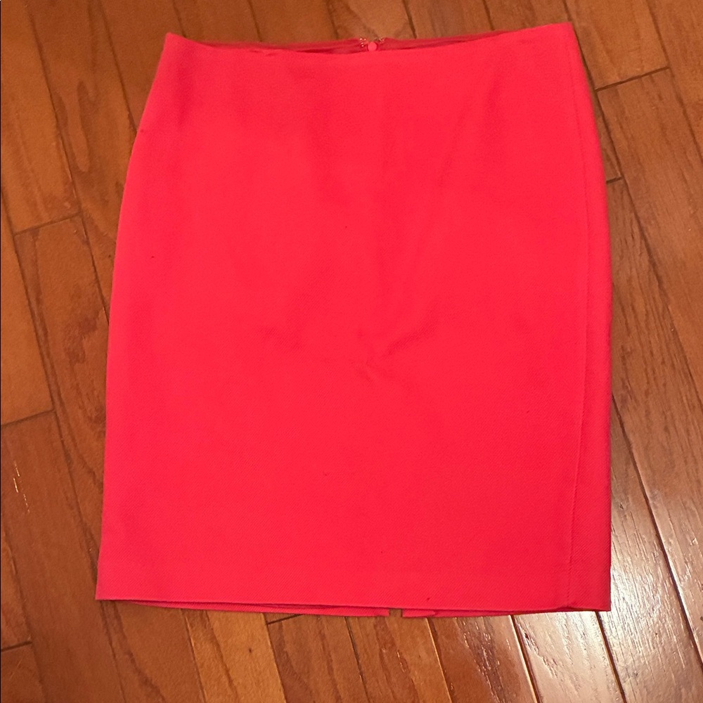 Elegant Pink Women's Skirt